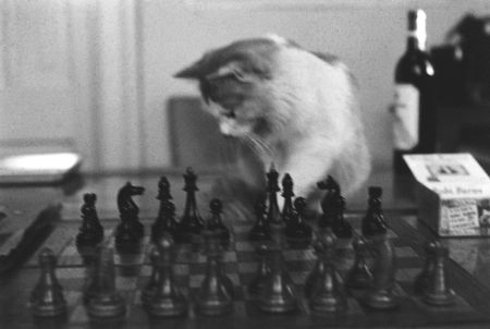 tagreuters.com2025binary_LYNXMPEL9U0BW-VIEWIMAGE