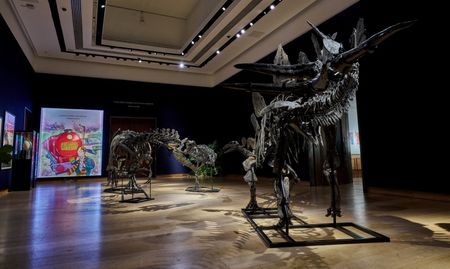 tagreuters.com2025binary_LYNXMPELA40W5-VIEWIMAGE