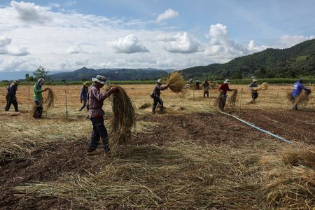 tagreuters.com2025binary_LYNXMPELAN014-VIEWIMAGE