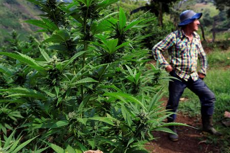 tagreuters.com2023binary_LYNXMPEJ5K0EV-VIEWIMAGE