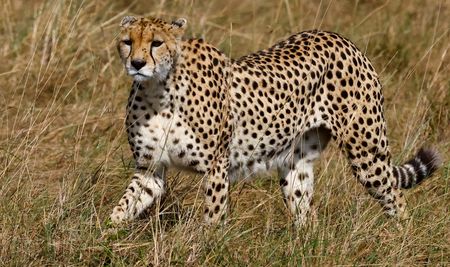 tagreuters.com2025binary_LYNXMPEL7B0PS-VIEWIMAGE