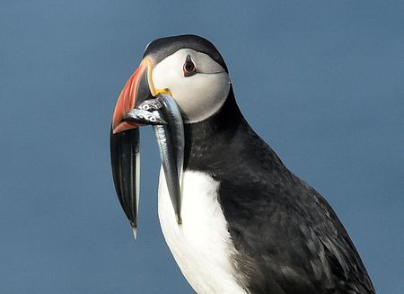 tagreuters.com2025binary_LYNXNPEL0R06F-VIEWIMAGE