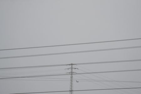 tagreuters.com2025binary_LYNXNPEL9805P-VIEWIMAGE