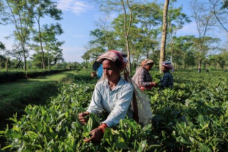 tagreuters.com2025binary_LYNXMPELAF05S-VIEWIMAGE