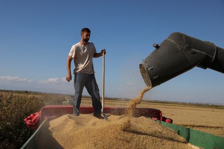 tagreuters.com2025binary_LYNXMPELA40M0-VIEWIMAGE