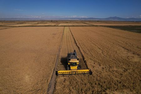 tagreuters.com2025binary_LYNXMPELA40M2-VIEWIMAGE