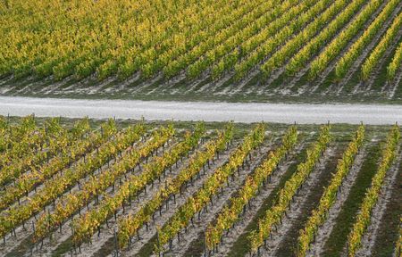 tagreuters.com2025binary_LYNXMPELA512C-VIEWIMAGE