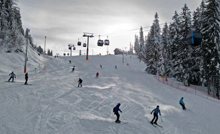 tagreuters.com2023binary_LYNXMPEJ14030-VIEWIMAGE