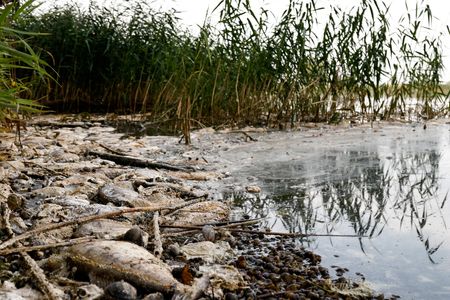 tagreuters.com2023binary_LYNXMPEJ5E0PL-VIEWIMAGE