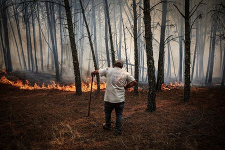 tagreuters.com2025binary_LYNXMPELAD0BH-VIEWIMAGE