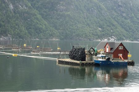 tagreuters.com2025binary_LYNXMPELAN05D-VIEWIMAGE