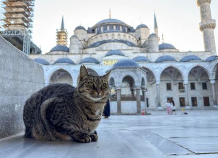 tagreuters.com2025binary_LYNXMPELAO0KG-VIEWIMAGE