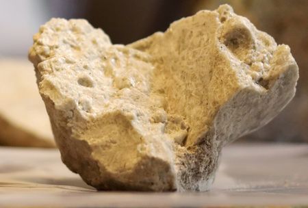 tagreuters.com2023binary_LYNXMPEJ5I0IS-VIEWIMAGE